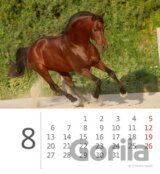 Koně 2012 - Stolní kalendář