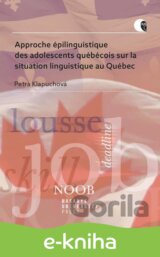 Approche épilinguistique des adolescents québécois sur la situation linguistique au Québec