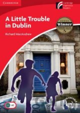 Little Trouble in Dublin