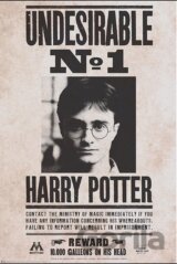 Plagát Harry Potter - Undesirable n°1