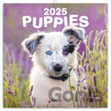 Nástenný poznámkový kalendár Puppies (Šteniatka) 2025