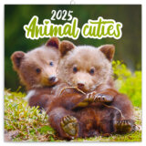 Nástenný poznámkový kalendár Animails cuties (Mláďatá) 2025
