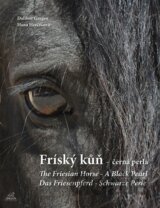 Fríský kůň - černá perla I.