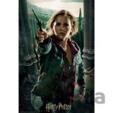 3D puzzle Harry Potter: Hermione