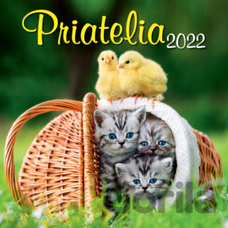 Nástenný kalendár Priatelia 2022