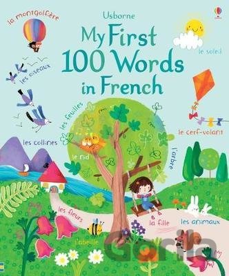Kniha My First 100 Words in French - Felicity Brooks
