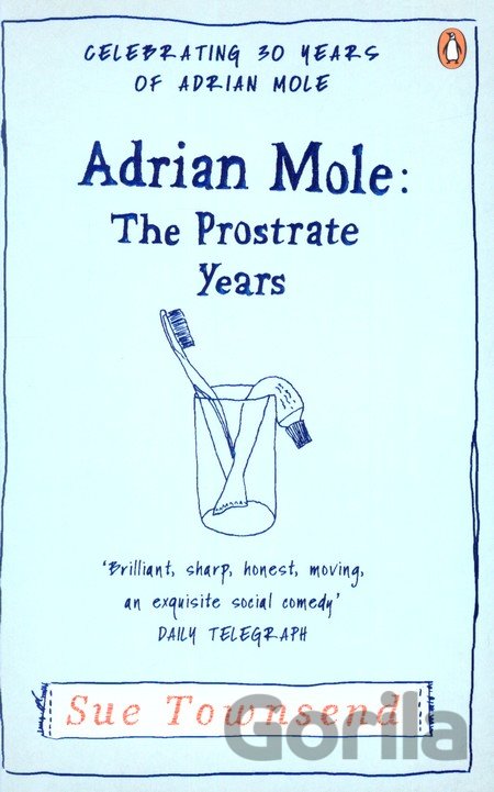 Kniha Adrian Mole: The Prostrate Years - Sue Townsend