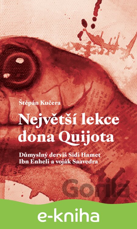 E-kniha Největší lekce dona Quijota - Štěpán Kučera