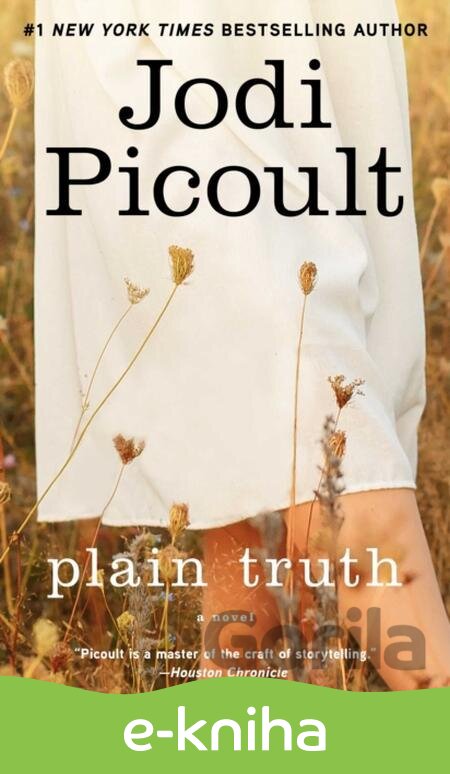 E-kniha Plain Truth - Jodi Picoult