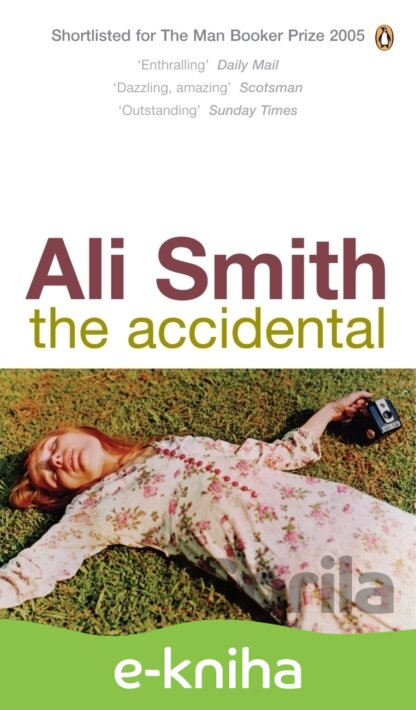 E-kniha The Accidental - Ali Smith