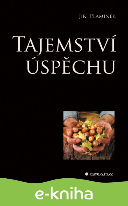 E-kniha Tajemství úspěchu - Jiří Plamínek