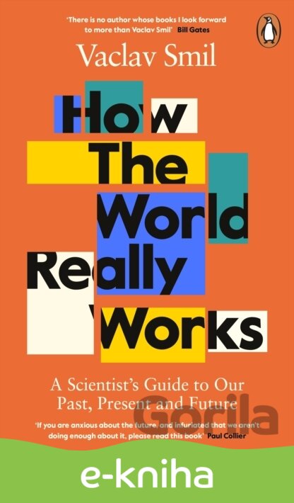 E-kniha How the World Really Works - Vaclav Smil