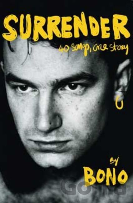 Kniha Surrender - Bono