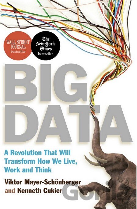 Kniha Big Data - Viktor Mayer-Schönberger, Kenneth Cukier