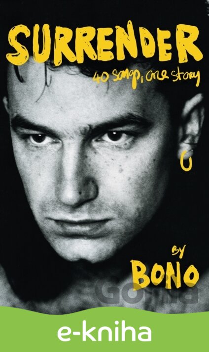 E-kniha Surrender - Bono