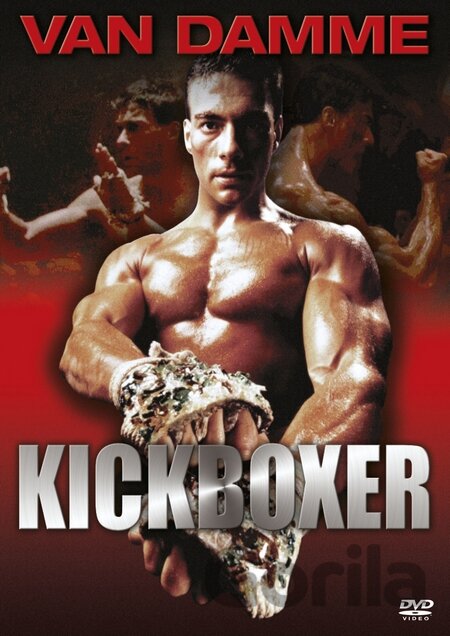 DVD Kickboxer - David Worth