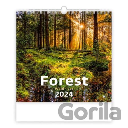 Kalendář nástěnný 2024 - Forest/Wald/Les