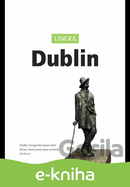 E-kniha Dublin - 