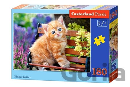 Puzzle Ginger Kitten