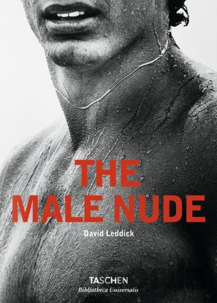 Kniha The Male Nude - David Leddick