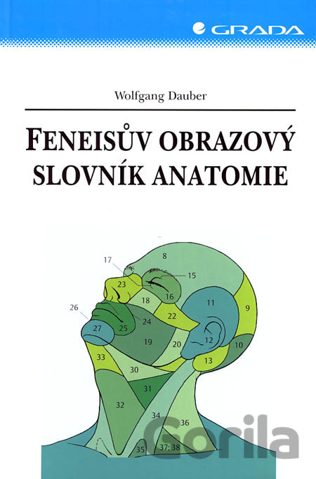 Kniha Feneisův obrazový slovník anatomie - Wolfgang Dauber