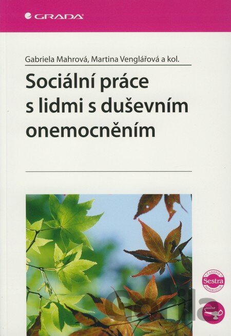 Kniha Sociální práce s lidmi s duševním onemocněním - Gabriela Mahrová, Martina Venglářová