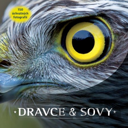 Kniha Dravce a sovy - 