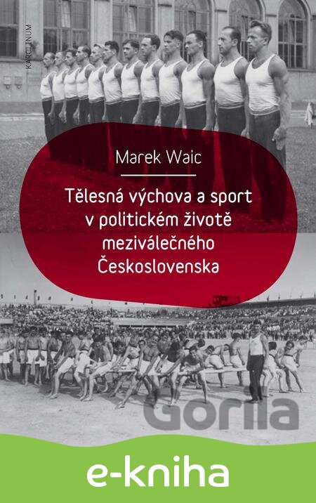 E-kniha Tělesná výchova a sport v politickém životě meziválečného Československa - Marek Waic
