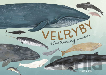 Kniha Veľryby: ilustrovaný sprievodca - Kelsey Oseid