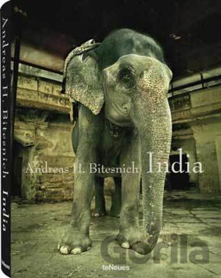 Kniha India - Andreas H. Bitesnich