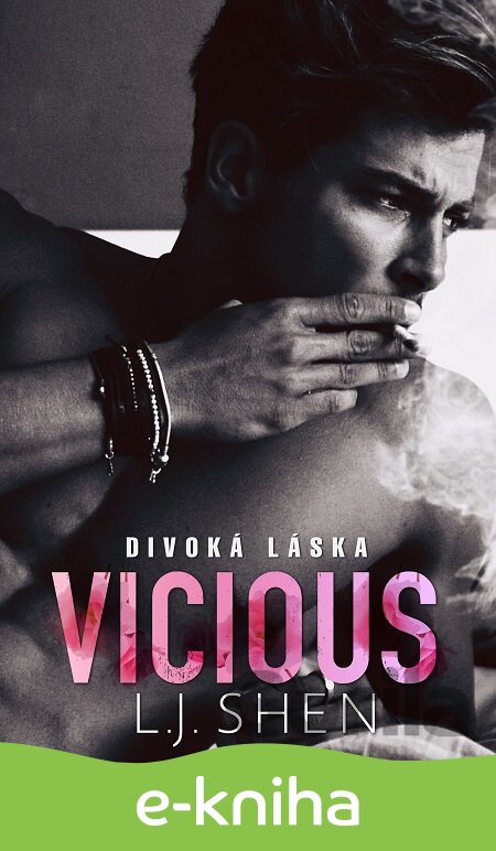 E-kniha Vicious: Divoká láska - L.J. Shen