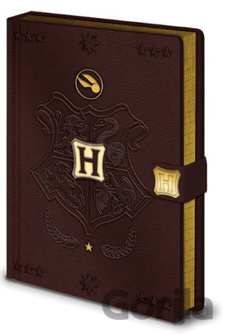 Poznámkový A5 blok Harry Potter: Quidditch