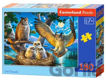 Puzzle Owl Family