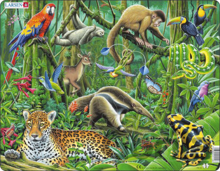 Puzzle Puzzle MAXI - Deštný prales Jižní Ameriky/70 dílků