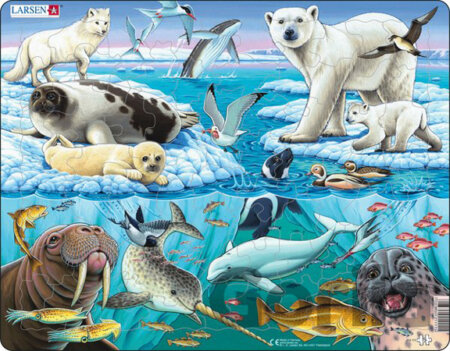 Puzzle Puzzle MAXI - Zvířátka v Arktidě/75 dílků
