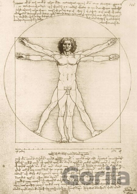 Puzzle Leonardo Da Vinci - The Vitruvian Man, 1490