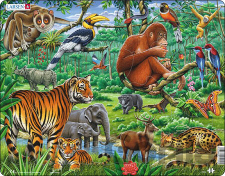 Puzzle Džungľa FH24