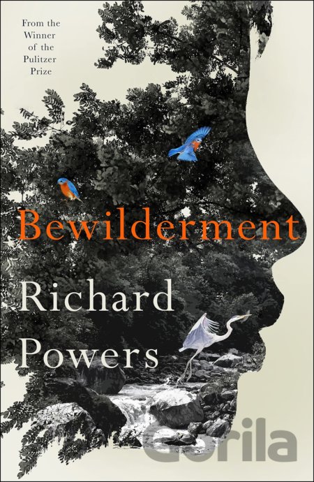 Kniha Bewilderment - Richard Powers