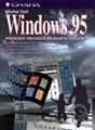Česká Windows 95 - podrobný průvodce zkušeného uživatele