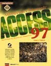 Mistrovství v Microsoft Access 97 pro Windows 95, Windows 98 a Windows NT