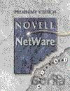 Problémy v sítích Novell NetWare