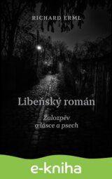 Libeňský román