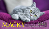 Stolový kalendár Mačky 2022