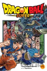 Dragon Ball Super (Volume 13)