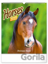Nástěnný kalendář Horses 2022