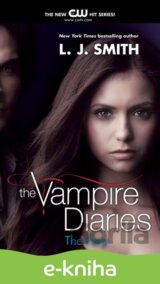 Vampire Diaries: The Fury