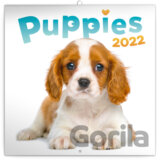 Poznámkový kalendár Puppies 2022