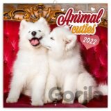 Poznámkový kalendár Animal Cuties 2022