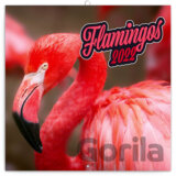 Poznámkový kalendár Flamingos 2022