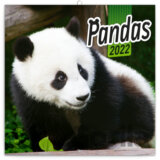 Poznámkový kalendár Pandas 2022